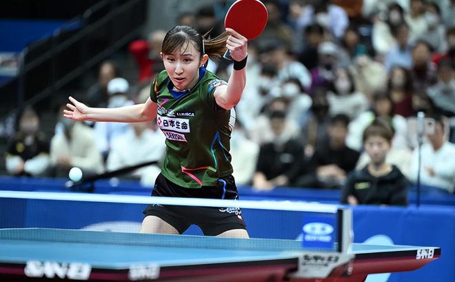 提供了坚实 提供了坚实