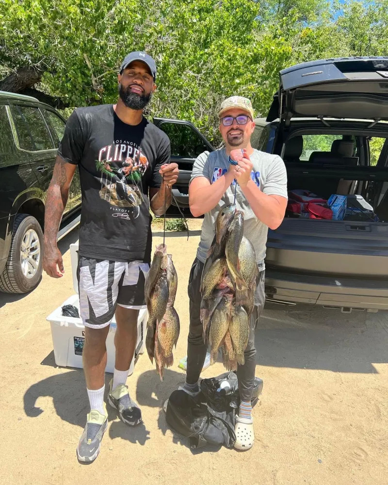 度以惊艳的 度以惊艳的